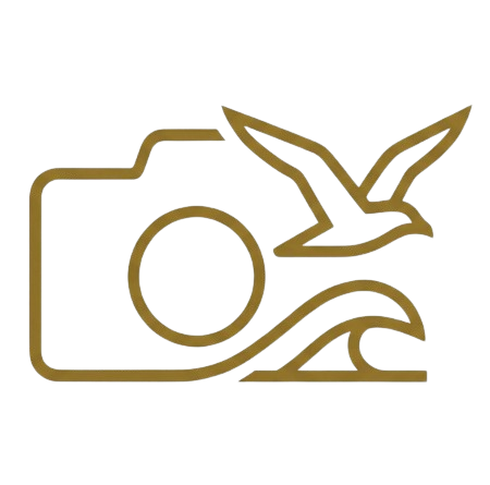 kamery nad morzem logo
