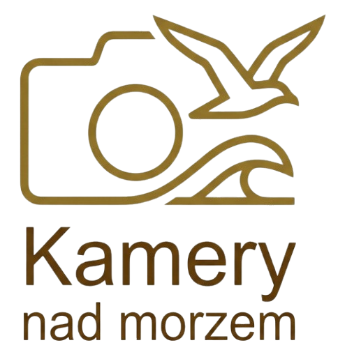 Kamery nad morzem